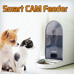 6L Interactive Automatic Pet  Feeder