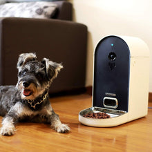 Load image into Gallery viewer, 6L Interactive Automatic Pet  Feeder
